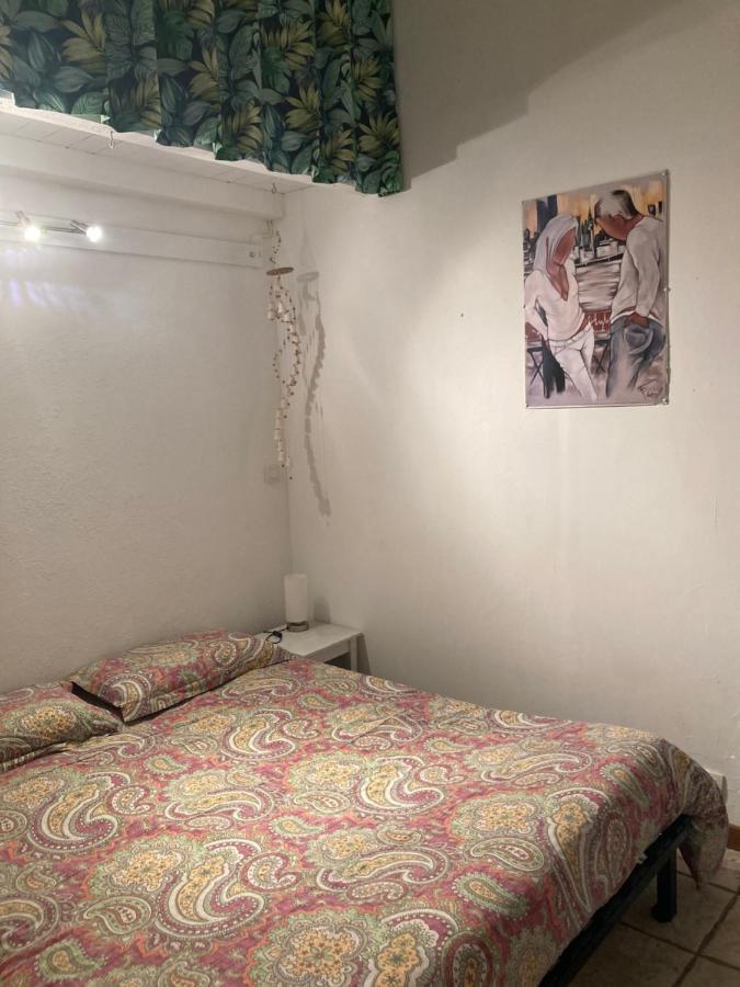 La Coccinelle Bed & Breakfast Nimes Bagian luar foto